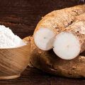 Le manioc. Le tubercule à pain. En 1492.