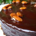 Gâteau de Pessah #6 : Tarte au chocolat et aux pralines sans farine, sans gluten