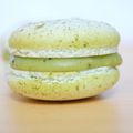 Macarons au thé Matcha