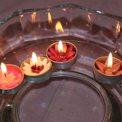 Vivement le printemps !!