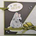 Carte Chat sur un coussin