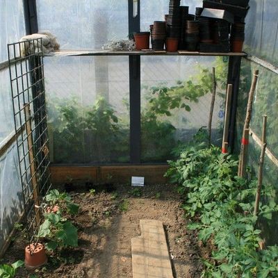 Serre à TOURMIGNIES