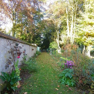 Décembre chez Miss Hortensia