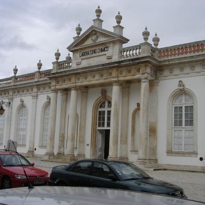 Mardi 15 Novembre : Le musée des sciences 