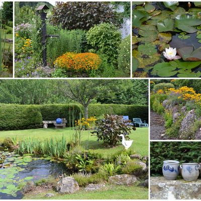 Un jardin de montagne dans les Vosges alsaciennes
