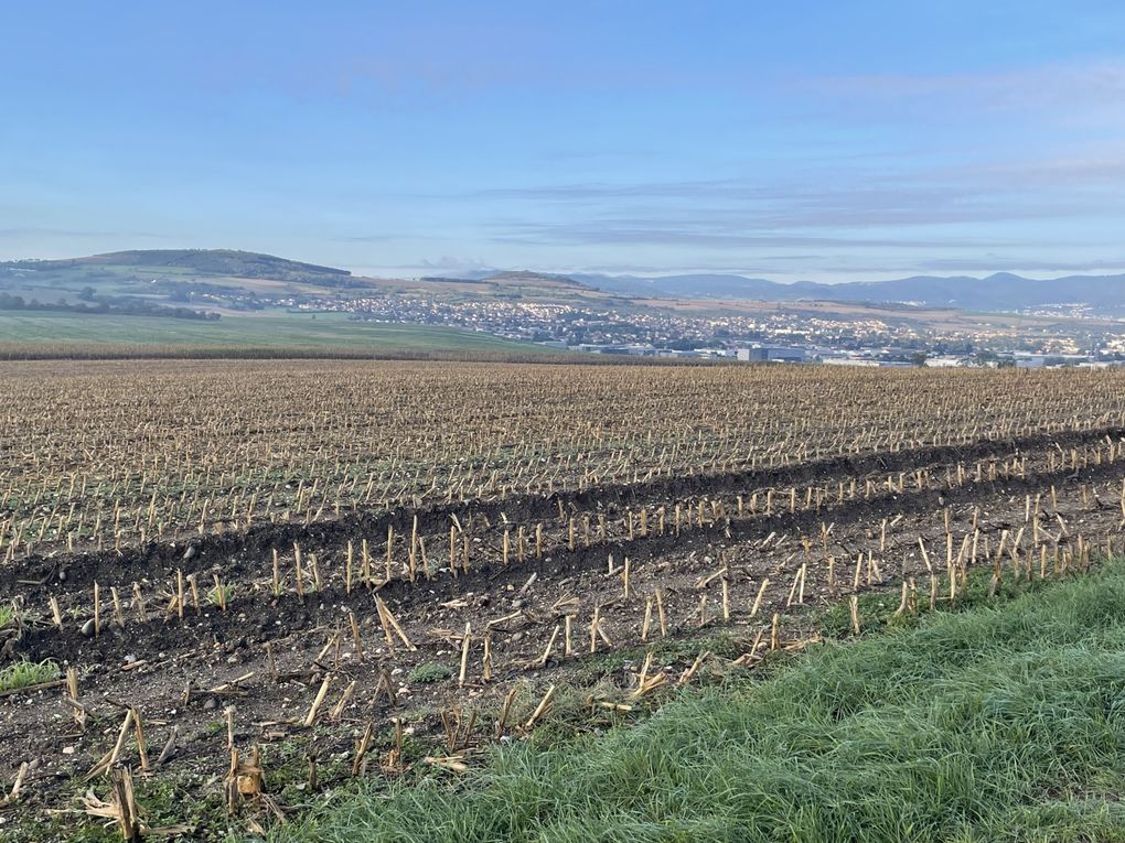 Vendredi 03 octobre 2025 sur un des balcons de ma ville  , en date du 29 sept 2025 et le vent était très froid , ça réveille de bon matin ... Je vous laisse contempler mon diaporama 