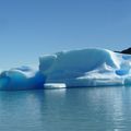 Visite du glacier Spegazzini