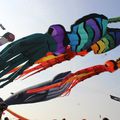 13-09-2014 - CERFS-VOLANTS A DIEPPE