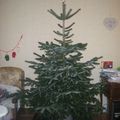 Mon beau sapin.. bis!