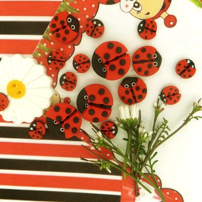Bouton Cavertine Coccinelle
