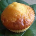 Cake nectarine/ citron (sans beurre)