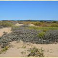 Dans les dunes 