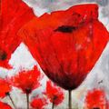 Coquelicots 1