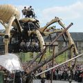 La grosse araignée
