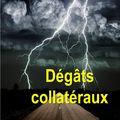 Dégâts collatéraux de Christine Brunet