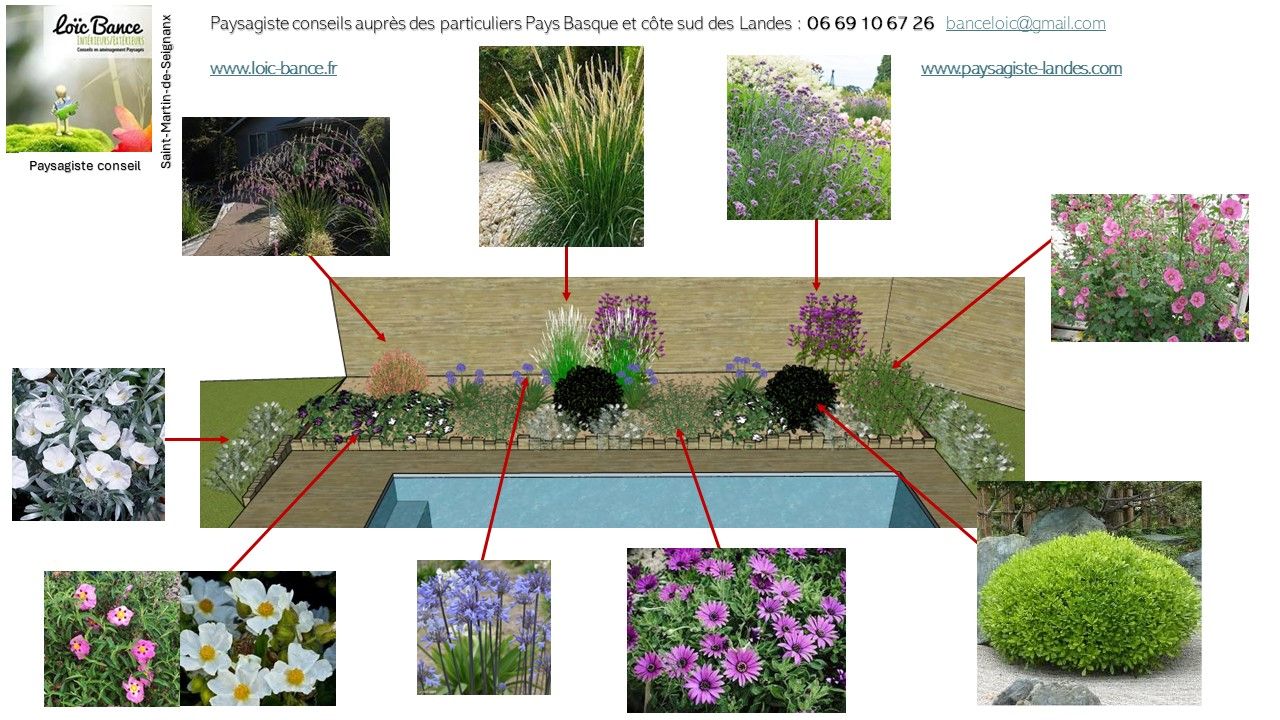 Paysagiste Saint Martin de Seignanx, implantations et légende des végétaux.