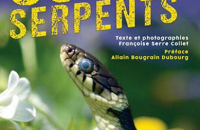  « 50 idées fausses sur les serpents » : plaidoyer pour les mal-aimés