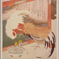 Chester Beatty Library opens special exhibition focusing on colour woodblock prints