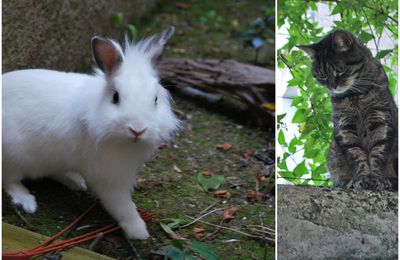 Trois pépettes!