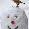 Mon Gentil Bonhomme