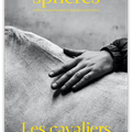 LECTURE > NOUVELLE REVUE "SPHERES MAGAZINE"