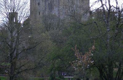 Visite du château de Blarney et de son parc