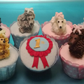 poodles cupcakes