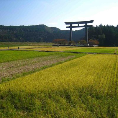 Japon 5 - Kumano Hongu Taisha
