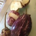 Un été de porcelaine - Aubergines du jardin