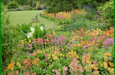 Les jardins de Harlow Carr; YORKSHIRE, Angleterre - 1ère partie/2