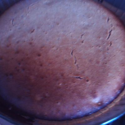 gâteau sans oeuf avec 15 cl de lait