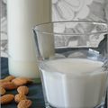 LAIT D'AMANDE MAISON AU VITALISEUR