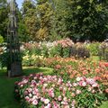 Le tableau des dahlias du Parc Floral d'Orléans