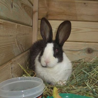 Dis maman, qu'est-ce qu'on mange ce soir ???