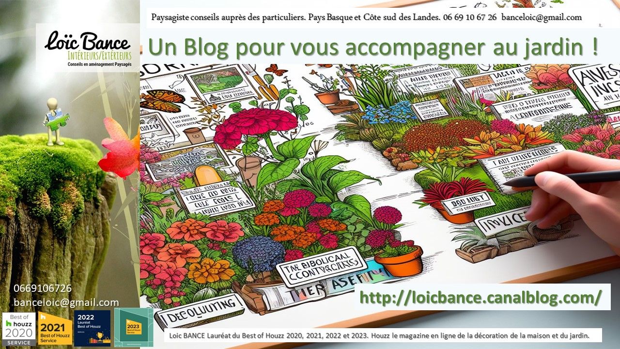 Le Blog jardin de Paysagiste Ainhoa au Pays Basque