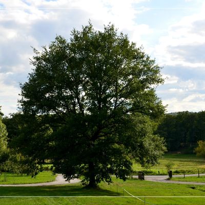 Limousin encore et toujours