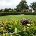 La nature du Puy du Fou..