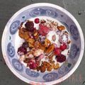 NO-grain-ola (muesli sans céréale, sans gluten et low carb)