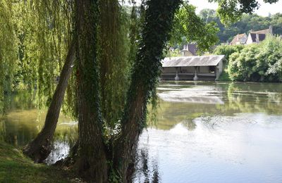 En balade à Lavardin (Loir-et-Cher) le 24 juillet 2024 (2)