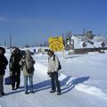 traineau à chien sur l'île d'Orléans