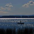 premier jour d'automne sur le lac de Morat 