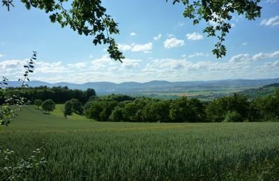 DEUX PETITES PHOTOS DU JOUR...