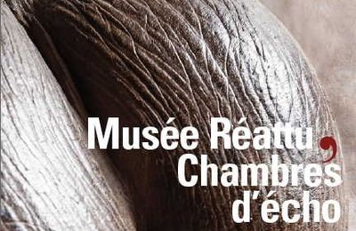 "Chambres d’écho" @ Arles. Musée Reattu 