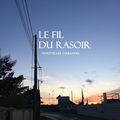 SORTIE DU RECUEIL DE NOUVELLES DU BLOG LAURENTDUCASTEL.CANALBLOG
