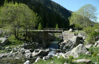  16.05.11 Rando au lac de la Fous