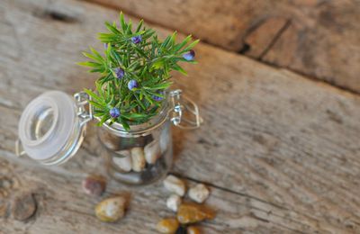 Mini jardins zen dans des pots de récup