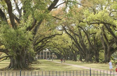 Nouvelle Orleans (Louisiane) - Natchez -Jackson (Missisipi) le 30 mars