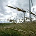 Le Préfet de la Charente enjoint d'accorder le permis de construire d'un parc éolien