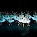 Le Ballet National de Chine - Le Lac des Cygnes