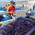 Le marché aux poissons sur le Vieux-Port, ce matin